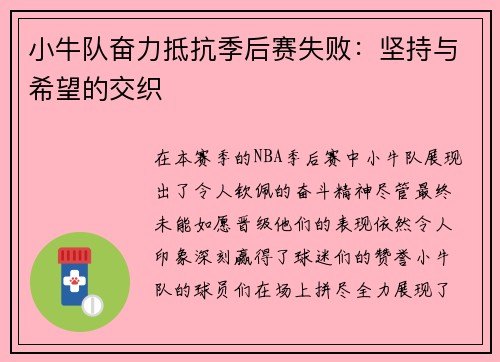 小牛队奋力抵抗季后赛失败：坚持与希望的交织